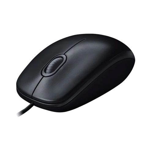 Chuột máy tính Logitech M100r