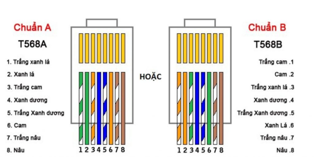 Hướng Dẫn Cách Bấm Dây Mạng Chi Tiết Đúng Chuẩn RJ45