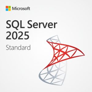 Microsoft SQL Server 2025 Standard Edition Perpetual 1 Server License