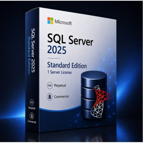 Microsoft SQL Server 2025 Standard Edition Perpetual 1 Server License