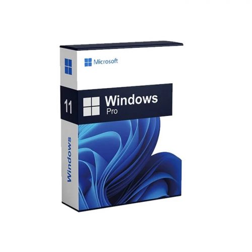 Windows 11 pro